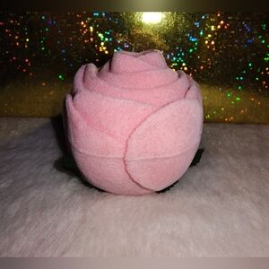 Two pair of stud earring with a beautiful box